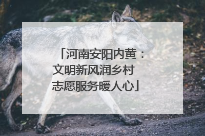 河南安阳内黄：文明新风润乡村 志愿服务暖人心