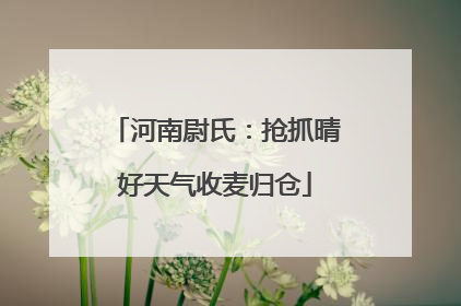 河南尉氏：抢抓晴好天气收麦归仓