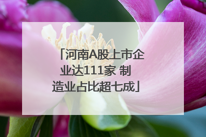 河南A股上市企业达111家 制造业占比超七成