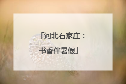 河北石家庄：书香伴暑假