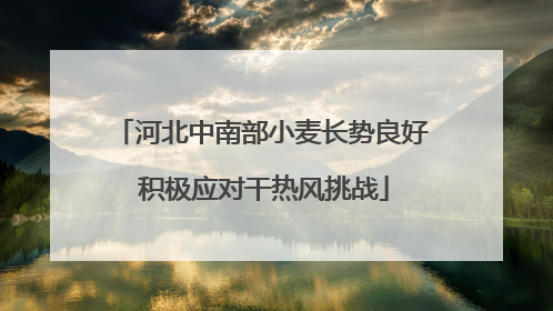河北中南部小麦长势良好 积极应对干热风挑战
