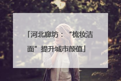 河北廊坊：“梳妆洁面”提升城市颜值