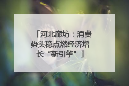 河北廊坊：消费势头稳点燃经济增长“新引擎”