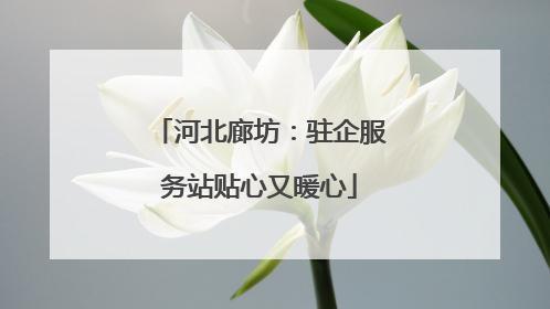 河北廊坊：驻企服务站贴心又暖心