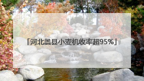 河北蠡县小麦机收率超95%