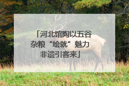 河北馆陶以五谷杂粮“绘就”魅力非遗引客来