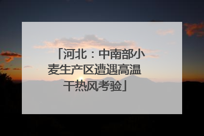 河北：中南部小麦生产区遭遇高温干热风考验