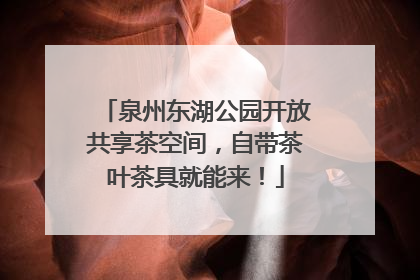 泉州东湖公园开放共享茶空间，自带茶叶茶具就能来！