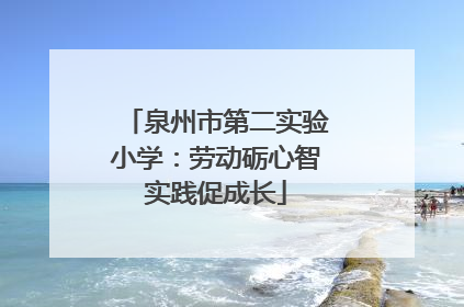 泉州市第二实验小学：劳动砺心智实践促成长