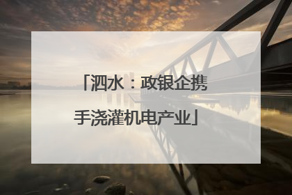 泗水：政银企携手浇灌机电产业