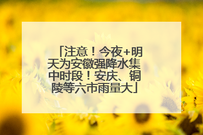 注意！今夜+明天为安徽强降水集中时段！安庆、铜陵等六市雨量大
