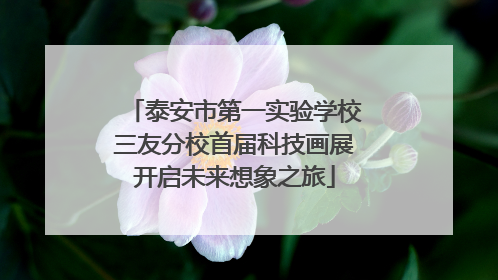 泰安市第一实验学校三友分校首届科技画展开启未来想象之旅