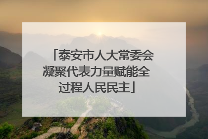 泰安市人大常委会凝聚代表力量赋能全过程人民民主