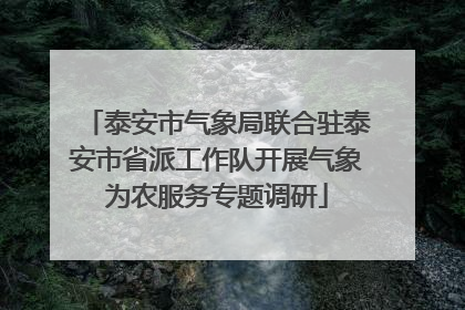 泰安市气象局联合驻泰安市省派工作队开展气象为农服务专题调研