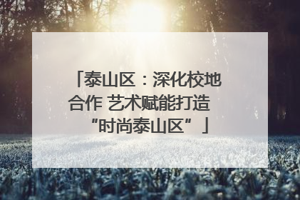 泰山区：深化校地合作 艺术赋能打造“时尚泰山区”