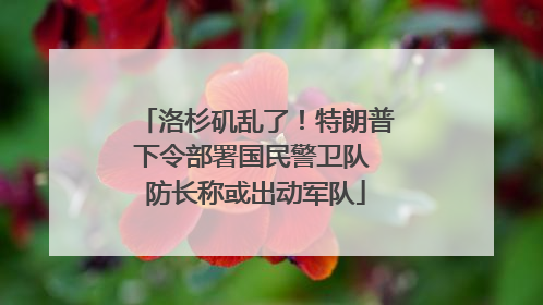 洛杉矶乱了！特朗普下令部署国民警卫队 防长称或出动军队