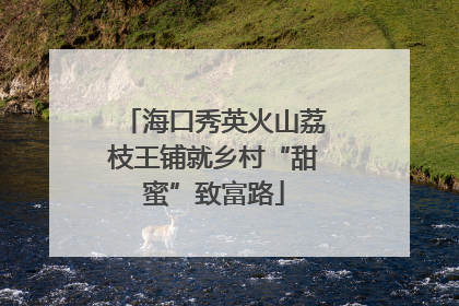 海口秀英火山荔枝王铺就乡村“甜蜜”致富路