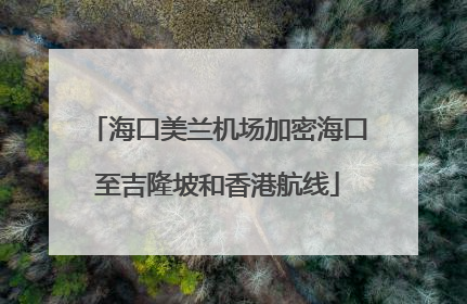 海口美兰机场加密海口至吉隆坡和香港航线