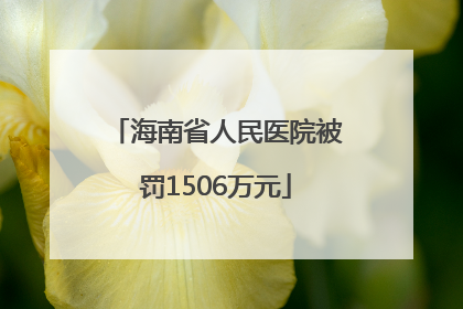 海南省人民医院被罚1506万元