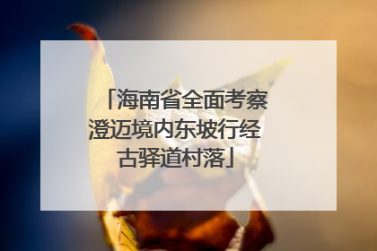 海南省全面考察澄迈境内东坡行经古驿道村落