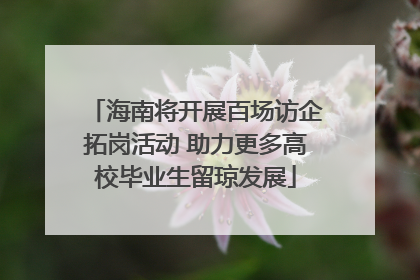 海南将开展百场访企拓岗活动 助力更多高校毕业生留琼发展