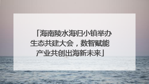 海南陵水海归小镇举办生态共建大会，数智赋能产业共创出海新未来