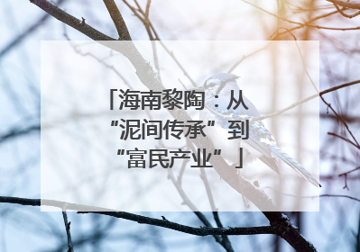 海南黎陶：从“泥间传承”到“富民产业”