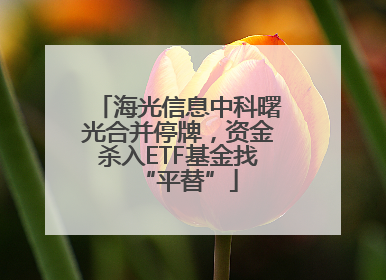 海光信息中科曙光合并停牌，资金杀入ETF基金找“平替”