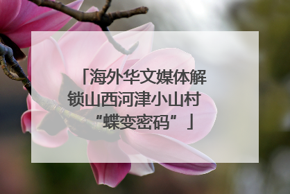 海外华文媒体解锁山西河津小山村“蝶变密码”