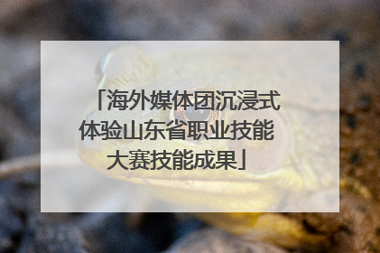 海外媒体团沉浸式体验山东省职业技能大赛技能成果