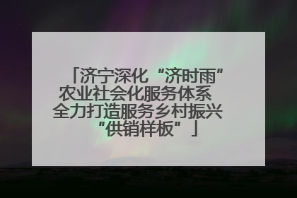 济宁深化“济时雨”农业社会化服务体系 全力打造服务乡村振兴“供销样板”
