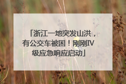 浙江一地突发山洪，有公交车被困！刚刚Ⅳ级应急响应启动