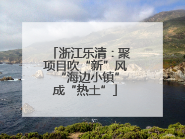 浙江乐清：聚项目吹“新”风 “海边小镇”成“热土”