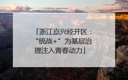 浙江嘉兴经开区：“统战+”为基层治理注入青春动力