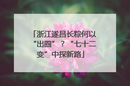 浙江遂昌长粽何以“出圈”？“七十二变”中探新路