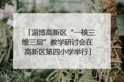 淄博高新区“一核三维三层”教学研讨会在高新区第四小学举行