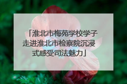 淮北市梅苑学校学子走进淮北市检察院沉浸式感受司法魅力