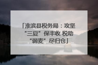 淮滨县税务局：攻坚“三夏”保丰收 税助“弱麦”尽归仓