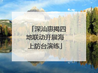 深汕惠揭四地联动开展海上防台演练