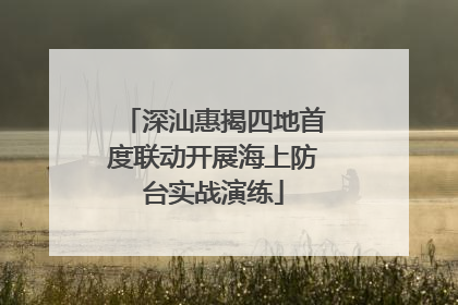 深汕惠揭四地首度联动开展海上防台实战演练