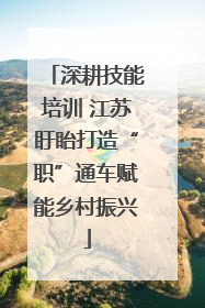 深耕技能培训 江苏盱眙打造“职”通车赋能乡村振兴