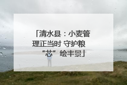 清水县：小麦管理正当时 守护粮“芯”绘丰景