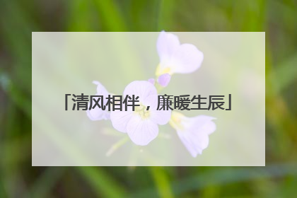 清风相伴，廉暖生辰