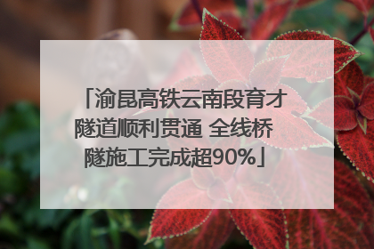渝昆高铁云南段育才隧道顺利贯通 全线桥隧施工完成超90%