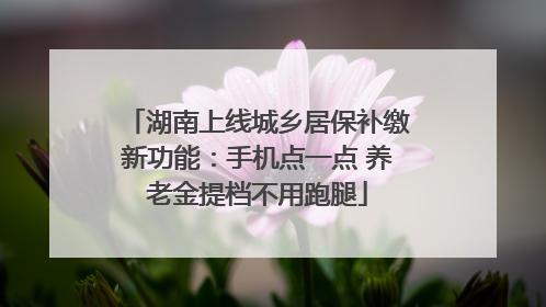 湖南上线城乡居保补缴新功能：手机点一点 养老金提档不用跑腿