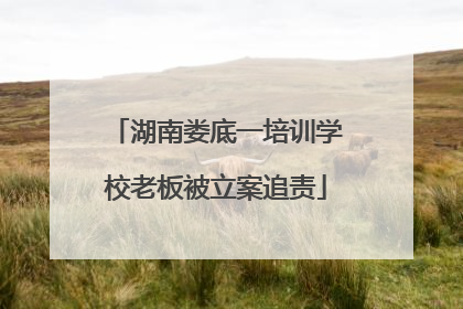 湖南娄底一培训学校老板被立案追责