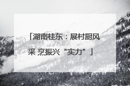 湖南桂东：展村厨风采 烹振兴“实力”