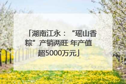 湖南江永：“瑶山香粽”产销两旺 年产值超5000万元