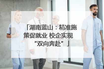 湖南蓝山：精准施策促就业 校企实现“双向奔赴”