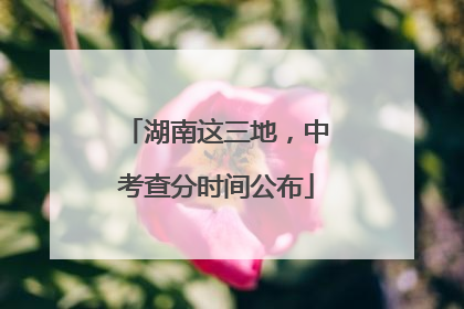 湖南这三地，中考查分时间公布